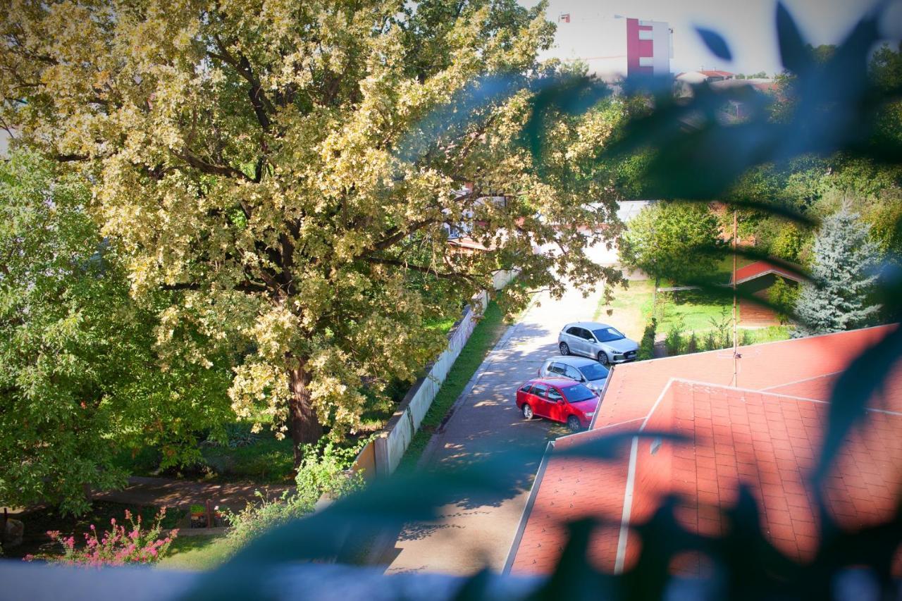 Apartman Aurelius - Private Parking Ösek Dış mekan fotoğraf